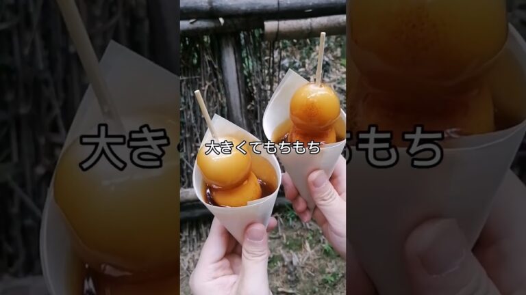 【大っきなみたらし団子！】嵐山の竹林の小径に観光に来たら立ち寄って欲しい食べ歩きスポット、大きいみたらし団子が人気のお店。もちもち団子に、甘じょっぱいタレがやみつきになる#京都旅行 #京都観光 #