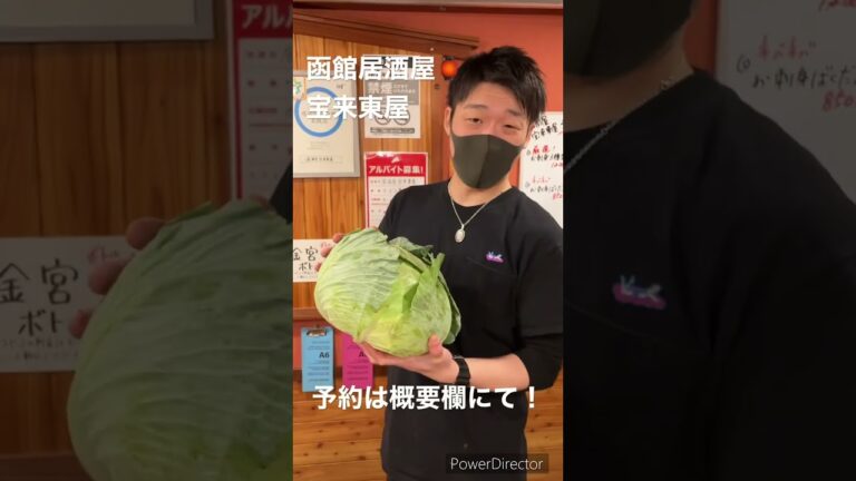 巨大キャベツの札幌大球は北海道郷土料理ニシン漬けにします！見た目と違いめっちゃ甘いキャベツです！