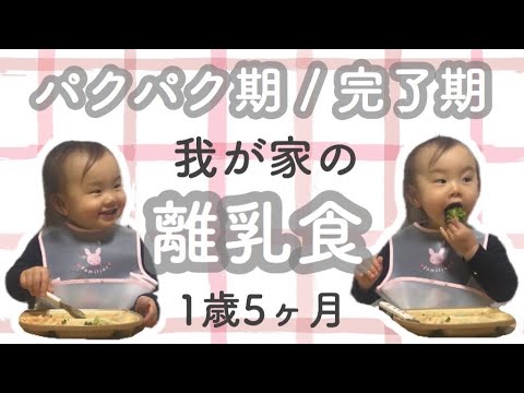 【赤ちゃん 1歳5ヶ月】離乳食完了期 / パクパク期 / 食べ物アレルギー検査結果【成長記録】