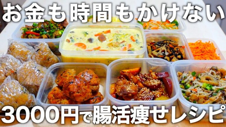 【3000円で10品】腸活野菜をたっぷり使った【低糖質＆高タンパク質】な作り置き。