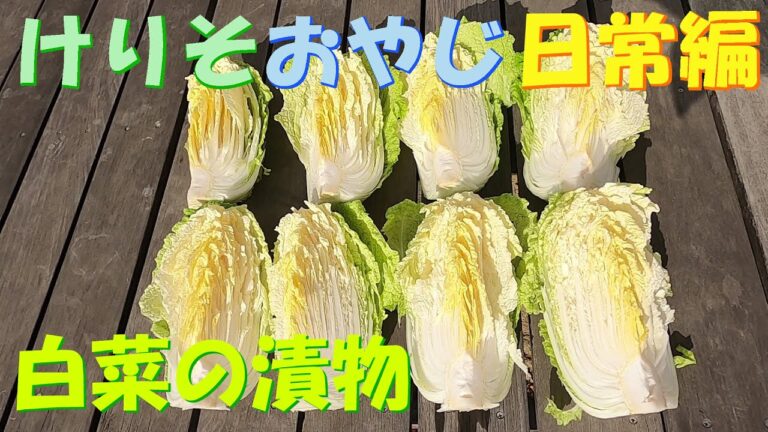 白菜の漬物を作ってみた