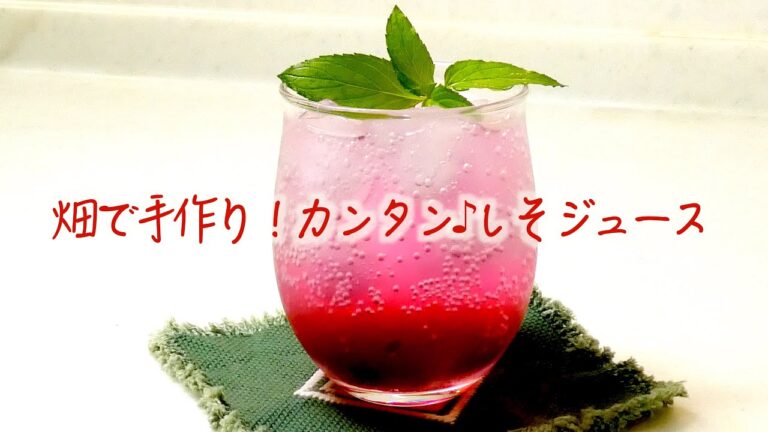 シソジュース簡単レシピ 【畑で手作り シソジュース】Simple recipe for perilla juice [Homemade perilla juice in the field]
