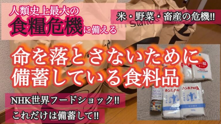 NHK世界フードショック/人類史上最大の食料危機/備蓄をし始めた方へ/健康的に備蓄をしよう。多めに備蓄しておきたい食料・調味料など