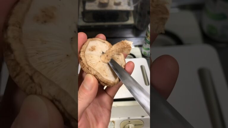 椎茸の肉詰めで酒が進む