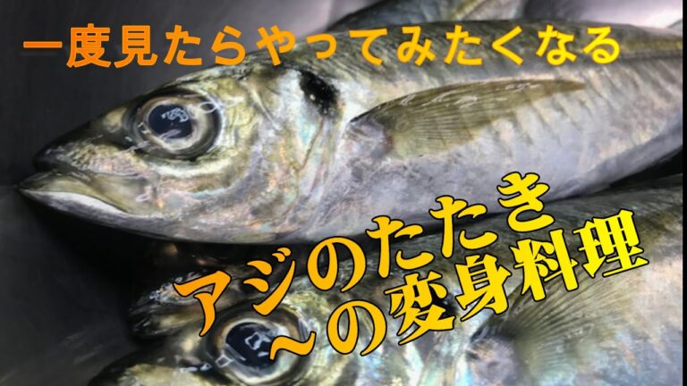 【初心者必見】アジのタタキ～の・・・応用編！！