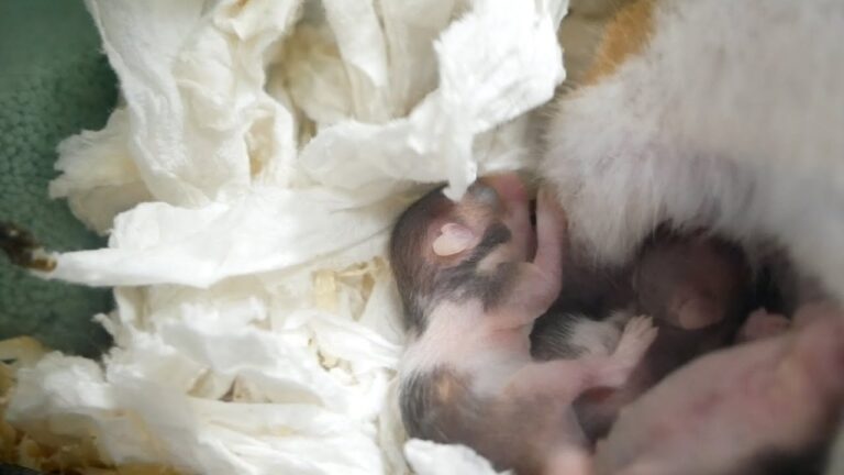 お気を悪くするかもしれません。