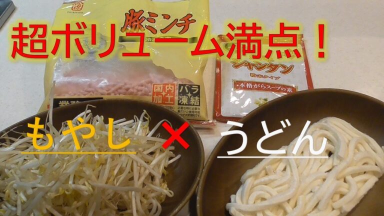 安くて腹いっぱいになる『たっぷりもやしうどん』
