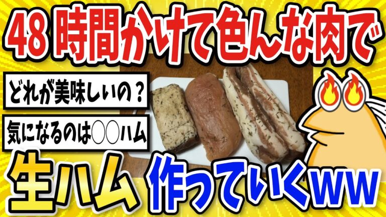 【2ch面白いスレ】色んな肉で生ハムを作っていくで！【グルメ料理】