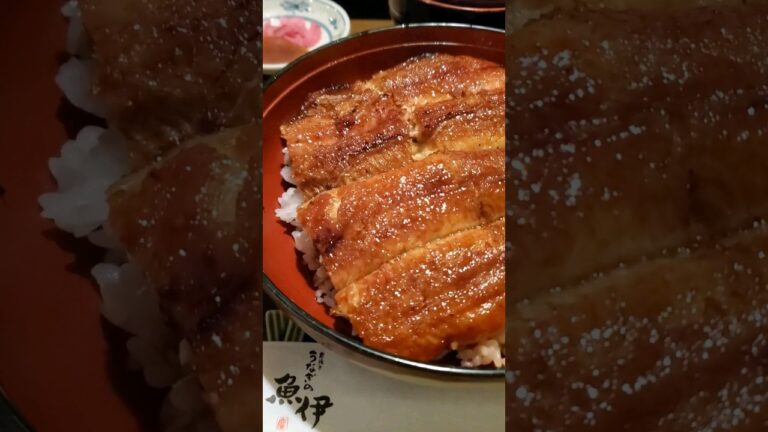 【うなぎの魚伊】2023.7.30土用の丑の日はここで食べて！絶品　特上鰻丼　うなぎ丼　最後の晩餐　大阪グルメ　うなぎ　行列のできる店　short　ショート　shorts　テレビでも有名　老舗