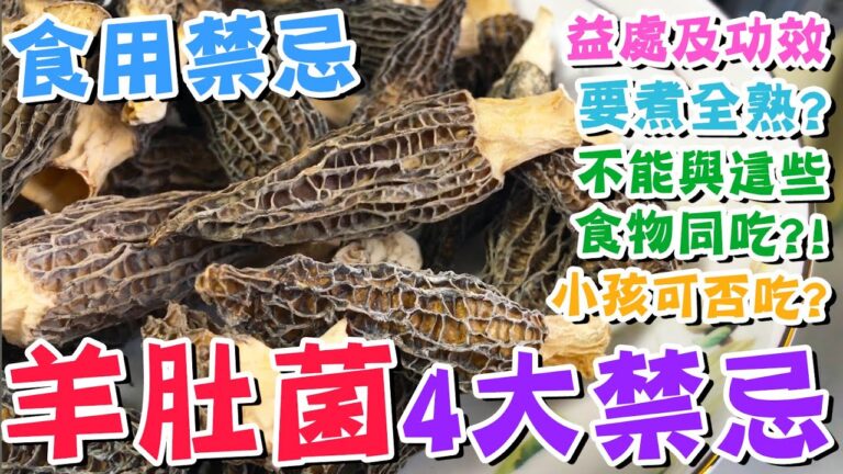 【🚫食用禁忌】🍄羊肚菌的4大禁忌💦要煮全熟?🔥注意不能與這些食物一起吃💥小孩可否食用?💀羊肚菌的益處💯藥用功效👍營養價值😋家常料理💟安心煮食✨懶人廚房