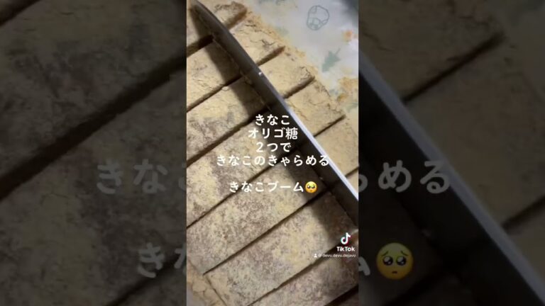 きゅうりはカリウム摂れるよ🥒😋🫑 #ダイエット #痩せる #減量 #ダイエット記録 #筋トレ #diet #workout