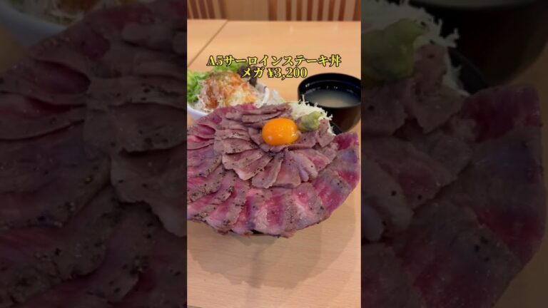 【the 肉丼の店】黒毛和牛A5サーロインステーキ丼