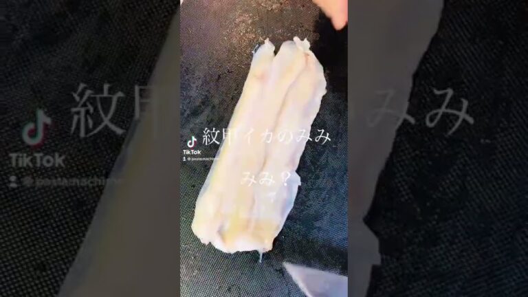 紋甲イカのコリコリバター醤油パスタ