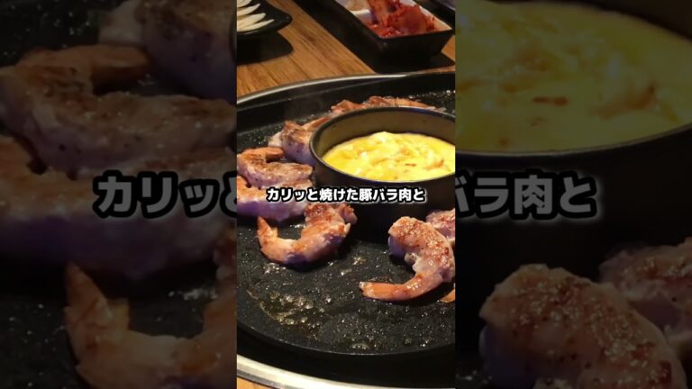 新大久保の韓国料理店マッコリの物語 #エビロールサムギョプサル #shorts