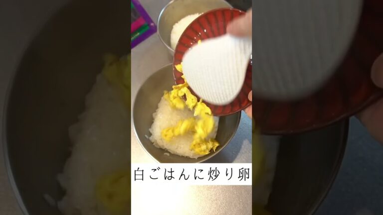 【ずぼら弁当】ツナマヨ/ 梅・しそ昆布・ゆかりのおにぎり