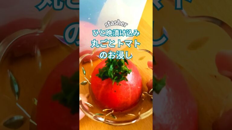 ひと晩漬け込み！丸ごとトマトのお浸し♪#stasher　#スタッシャー　#漬け込みレシピ　#トマト　#白だし　#夏野菜レシピ #料理 #簡単レシピ