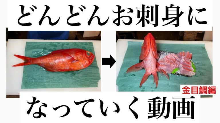 【築地】の魚屋が【金目鯛】を刺身にする動画Tsukiji fish shop makes Kinmedai sashimi
