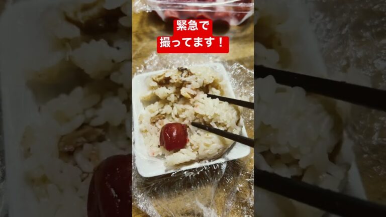 梅干しと炊き込みご飯の組み合わせが良すぎて緊急動画になった
