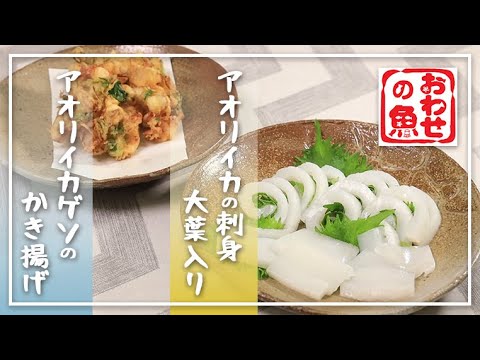 尾鷲のブランド！イカの王様アオリイカのおいしいレシピ
