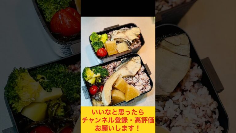 スキマなくみっちり！ぶり大根弁当🐟 #お弁当動画 #food #作り置き弁当 #お弁当おかず #cooking