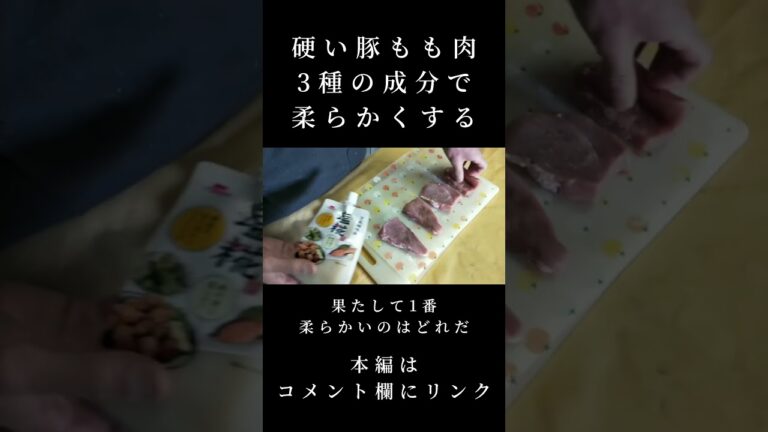最強はどれだ!!3種の成分で硬い豚もも肉を柔らかくする!!