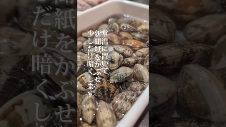 【あさりがあったら】まず砂抜きしよう #shorts #あるもの食堂 #東北を1番幸せにしたい料理研究家 #東北のミキティママ #あさり #あさりの砂抜き