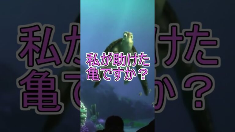 浦島「私が助けた亀ですか？」【タートルトーク】東京ディズニーシー#Shorts