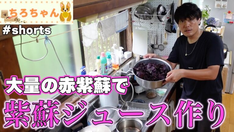 赤紫蘇ジュースを作った。４Ｋ＃shorts