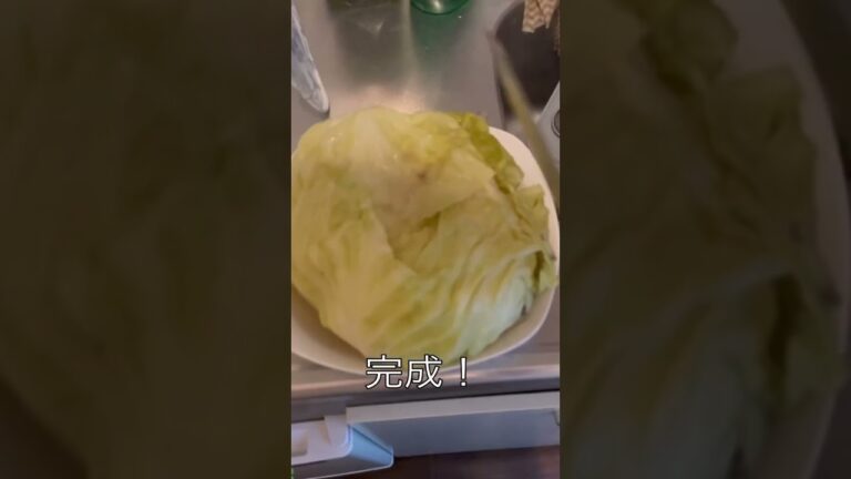 ズボラ飯#1 肉なしロールキャベツ風