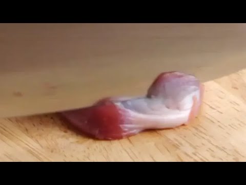 砂肝の下ごしらえ【やりかたのヒント】