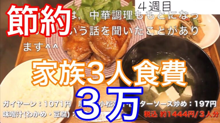【節約】家族３人食費３万その26.27.28 ガイヤーン（照り焼き：タイ料理）