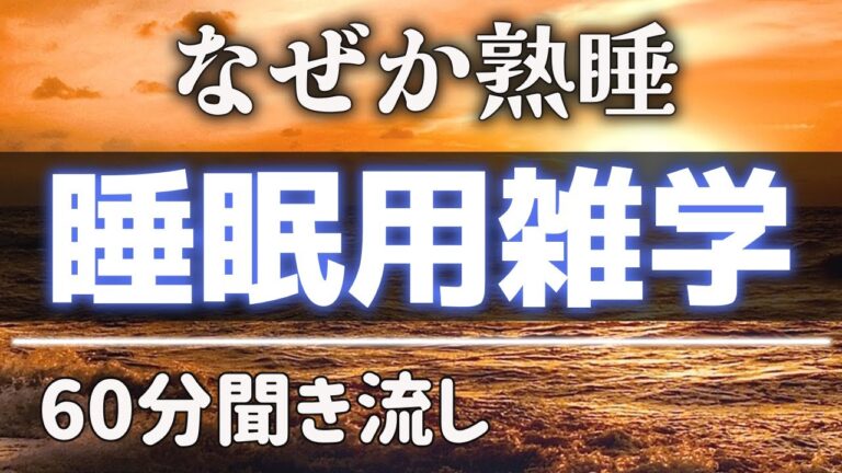 【睡眠導入雑学】嘘のように眠る｜ヒーリングBGM【リラックス】