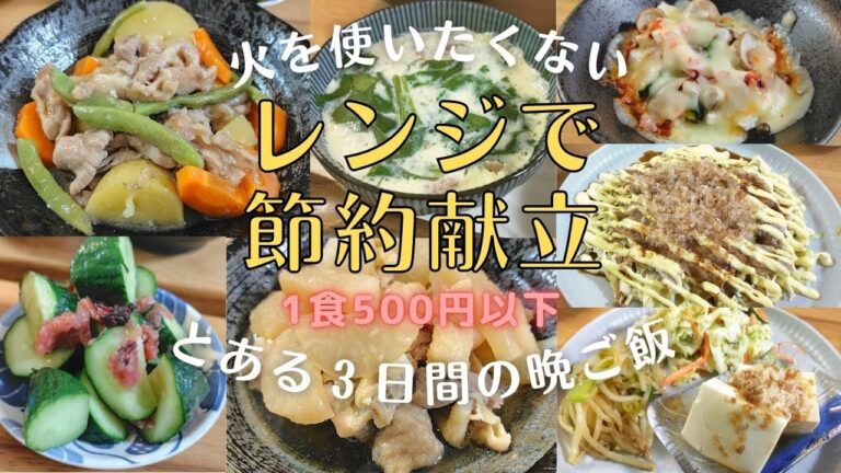 ◎節約晩ご飯 レンチン時短料理 火を使わない3日間1000円の献立【プレママパパの日常】