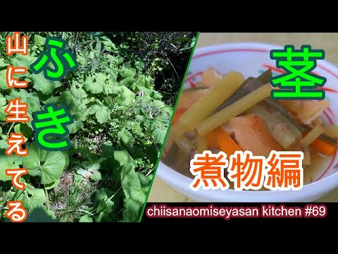 山ふきは柔らかくて美味しい【オーソドックスな煮物】茎バージョン