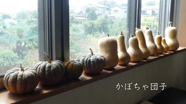 かぼちゃ簡単 レシピ　片栗粉とかぼちゃだけ 簡単かぼちゃ団子【バターナッツかぼちゃと、神田小菊】Pumpkin Easy Recipe Only potato starch and pumpkin