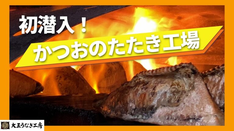 初潜入！鰹のたたき工場 ～藁焼き（わらやき）鰹のたたきが出来るまで
