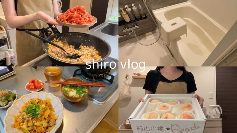 もらった大量の野菜で節約晩ごはん🥬 手作りミートソースパスタ🍝