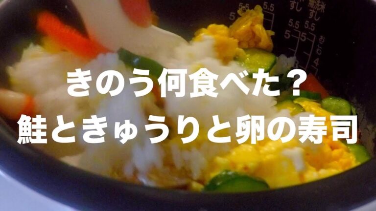 鮭ときゅうりと卵の寿司 （貧乏Ver）/ 一人暮らし料理VLOG / Japanese daily meals