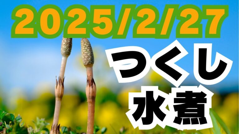 2025/2/27【豊洲市場】山茂／『つくし水煮』