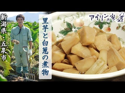 【アグリンの家】33 新潟県・五泉市「里芋と白葱の煮物」