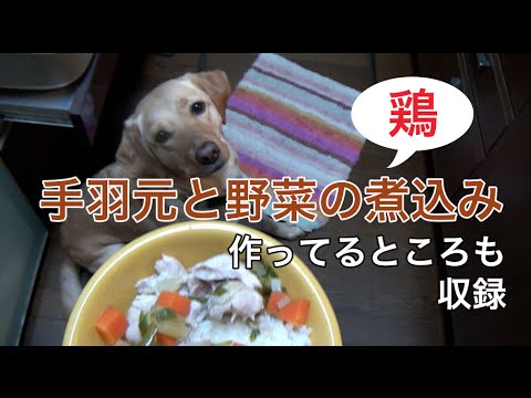 犬ご飯：手羽元と野菜の煮込み。作ってるところも今回収録。