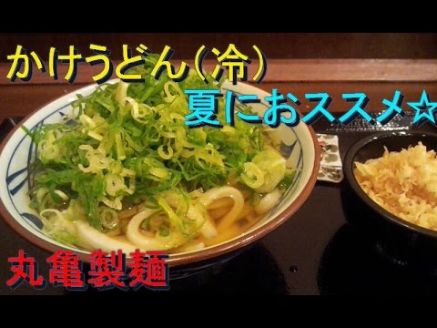 【夏におススメ】冷たいかけうどん　丸亀製麺　ＵＤＯN