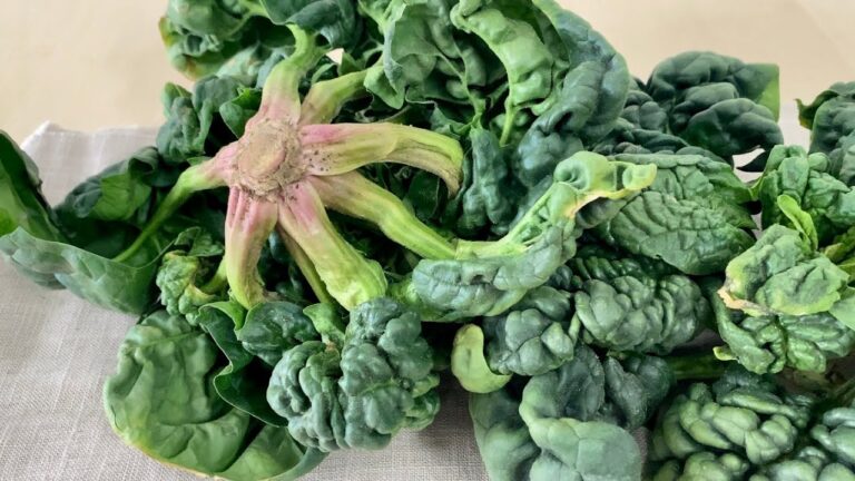 ちぢみほうれん草〈野菜の食べ方＆調理方法〉by食育マルシェおうち便