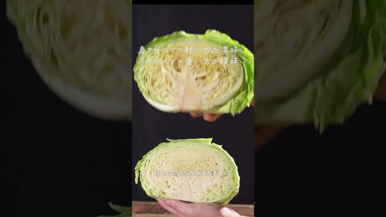 キャベツ選びの罠！覚えるだけで得する見極め方と美味しい食べ方！