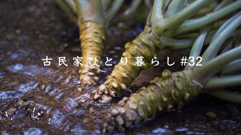 【田舎で働く】本わさびの秘密｜生わさび丼｜ダチョウ肉を食べてみた｜堤農園｜たまや王国｜西伊豆町