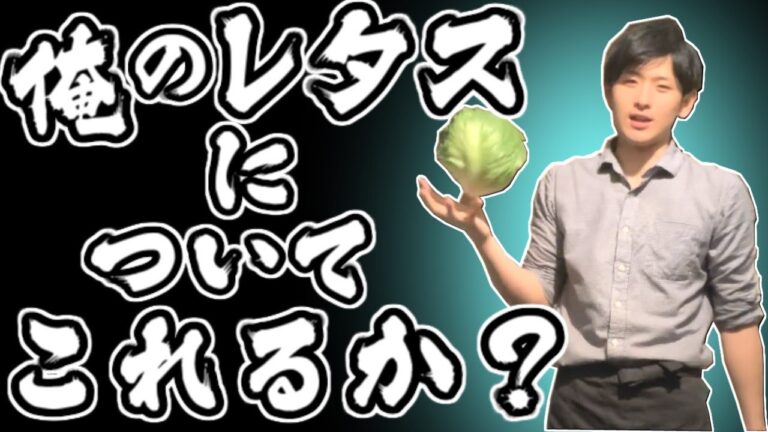 【料理動画】ぼんすけの秒速レタスサラダ！！
