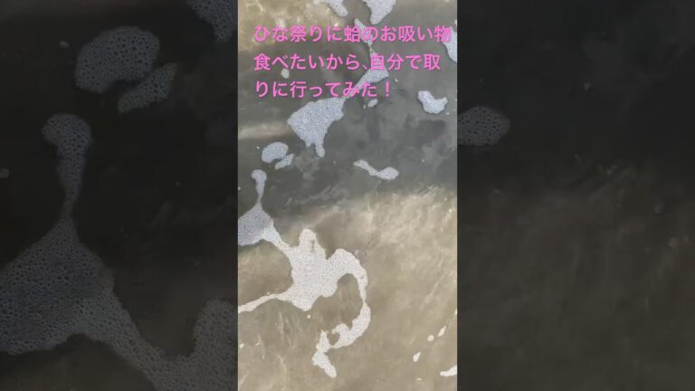 #節約　#潮干狩り        ひな祭りにハマグリのお吸い物食べたいから潮干狩りに行ってみた！