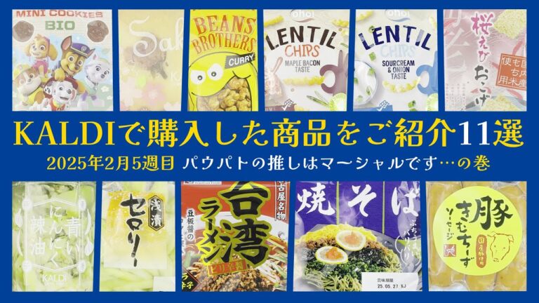 【KALDI】今回はカルディで購入した11の商品をご紹介していきます 2025年2月5週目【お買い物】