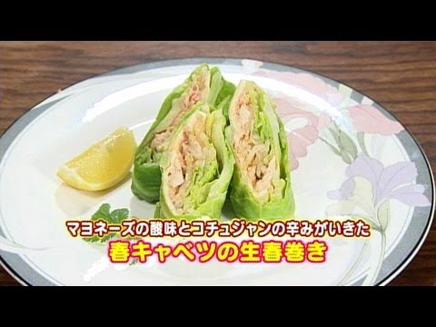 食卓の秘密「春キャベツ」 キャッチ! 2013/3/15放送