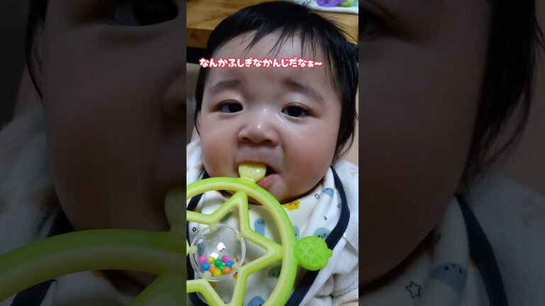 はじめての歯固め🍼✨ #shorts #双子 #赤ちゃん #男の子 #かわいい #癒し